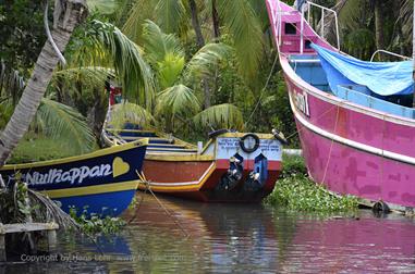 Houseboat-Tour from Alleppey to Kollam_DSC6787_H600